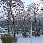 Maritim 3* Skjervoy