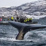 Maritim